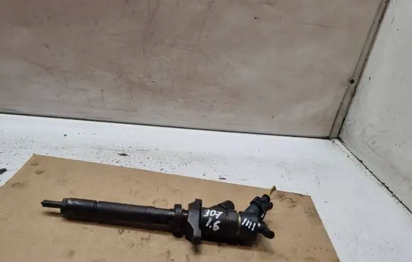 Peugeot 307 Fuel injector 0445110259