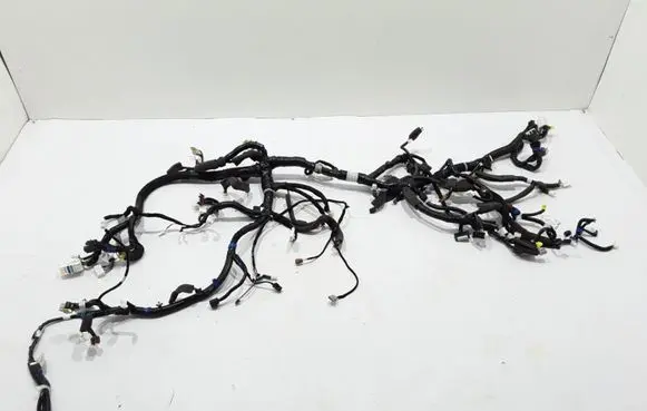 Renault Alaskan Other wiring loom 240105JV4E