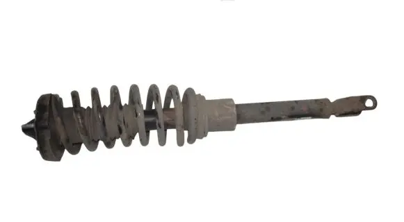 Mercedes-Benz CLS C219 Front shock absorber/damper A2193201413