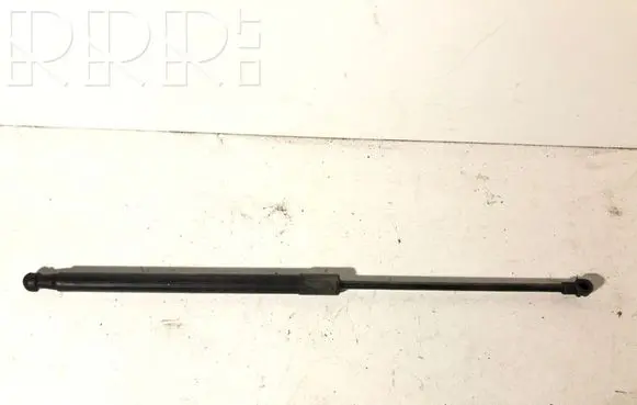 Front bonnet/hood damper/strut
