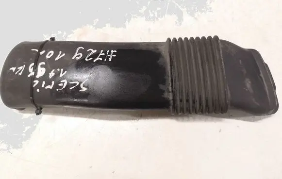 Renault Scenic III - Grand scenic III Air intake hose/pipe 244930005R T06009A183