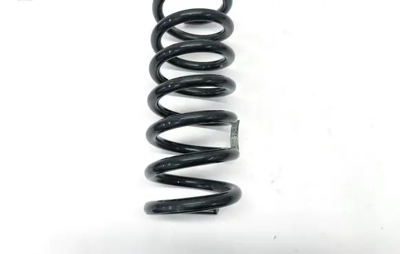Rear coil spring