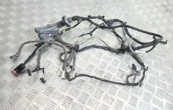 Front door wiring loom