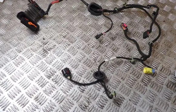 Volkswagen PASSAT B6 Front door wiring loom 3C2971121AP