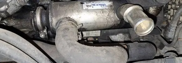 EGR valve cooler