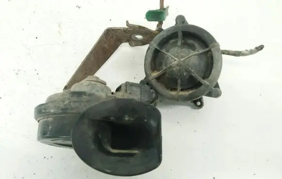 Volkswagen PASSAT B6 Horn signal E1000209