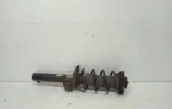 Volkswagen Golf VI Front shock absorber with coil spring 1K0413031BF