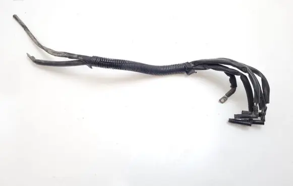 Engine installation wiring loom