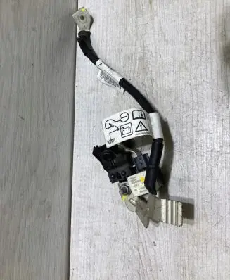 Dacia Sandero III Negative earth cable (battery) 250820499R