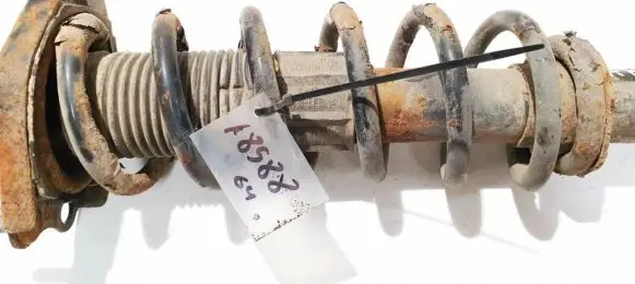 Toyota Corolla Verso AR10 Rear coil spring