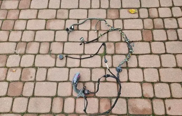 Opel Insignia A Front door wiring loom 13264926