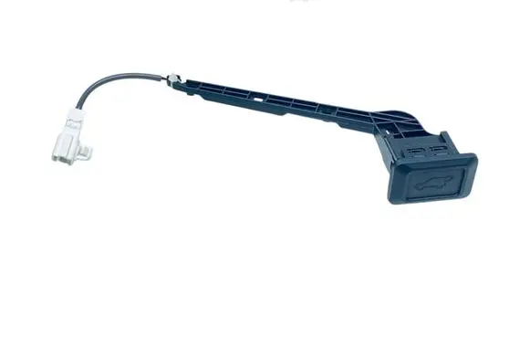 Toyota RAV 4 (XA50) Tailgate/trunk/boot open switch 8496642020