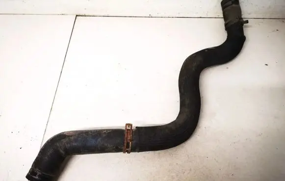 Renault Laguna III Engine coolant pipe/hose 215010054r