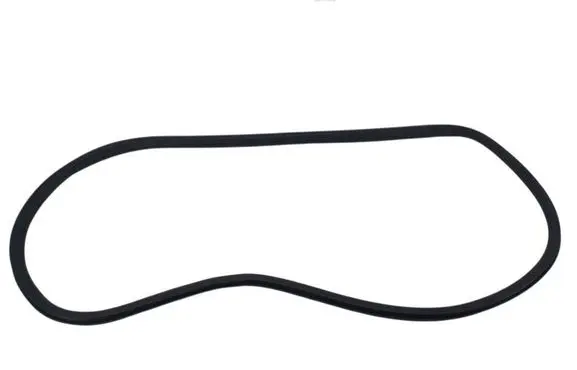 Citroen C3 Front door rubber seal 