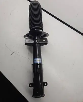 Ford Mustang V Front shock absorber/damper AR3318045AD 1A13852A