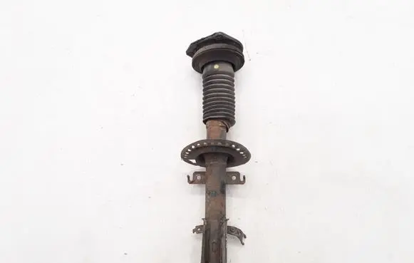 Renault Kangoo II Front shock absorber/damper 8200868516