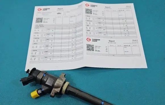 Citroen Berlingo Fuel injector 0445110311 IMPRK1525097