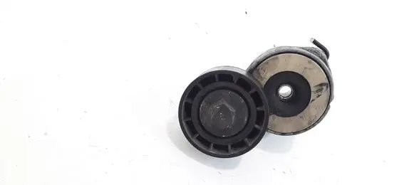 Citroen C5 Alternator belt tensioner 541273