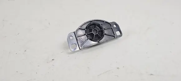 Panel speaker