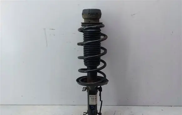 Seat Toledo II (1M) Front shock absorber with coil spring