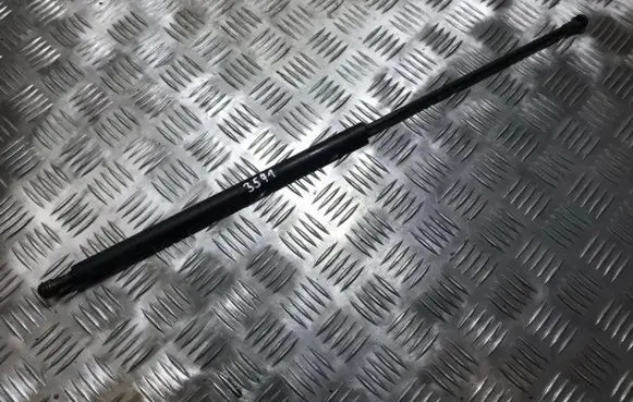 Tailgate/trunk strut/damper