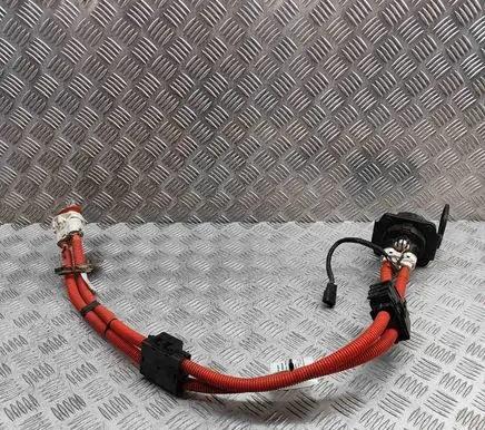 Nissan Leaf II (ZE1) Other wiring loom 296B15SK1A