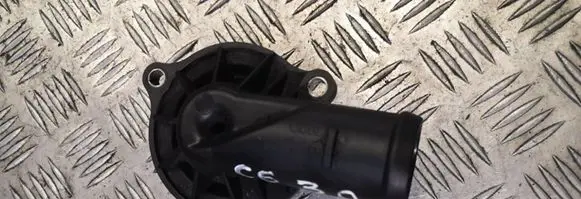 Thermostat/thermostat housing