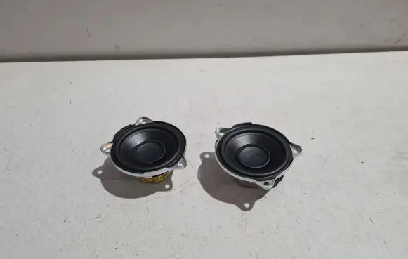 Front door high frequency speaker