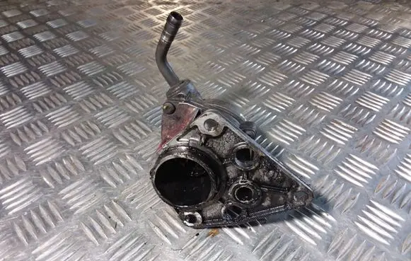 Citroen Xsara Vacuum pump 174329TE