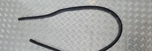 Mitsubishi Pajero Front door rubber seal
