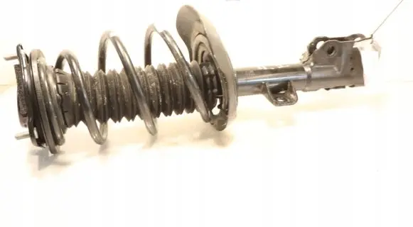 Lexus NX Front shock absorber with coil spring