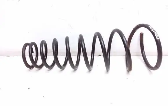 Front coil spring