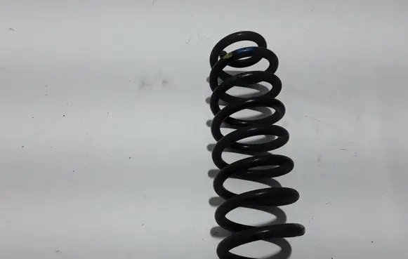 Dacia Spring Rear coil spring 550200356R