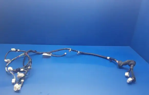 Front door wiring loom