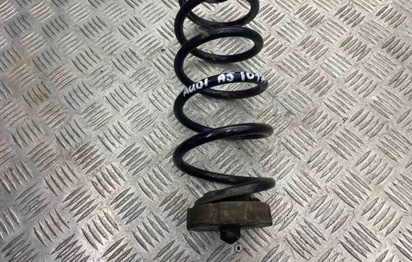 Rear coil spring