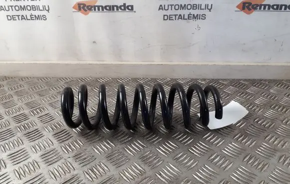 Rear coil spring