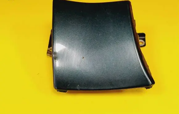 Rear/tail light trim molding