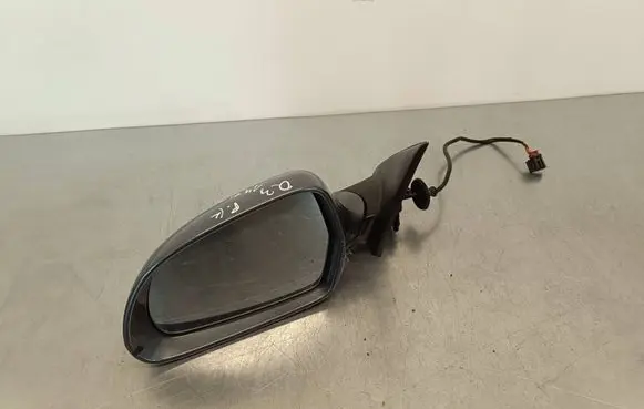 Audi Q3 8U Front door electric wing mirror E1021000