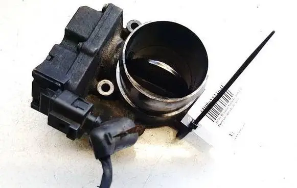 Hyundai Santa Fe Throttle valve 110071215 5wy9110d