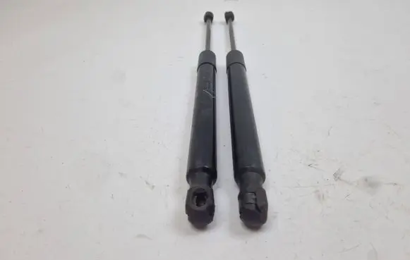 Fiat 500X Tailgate/trunk strut/damper 00520315180
