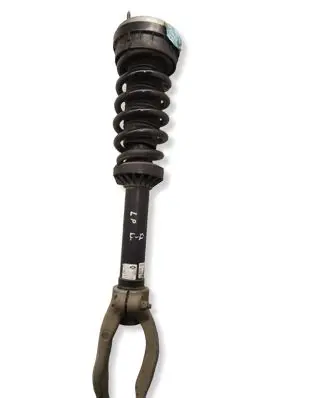 Jaguar F-Pace Front shock absorber with coil spring GX733463AC HK8318B036EG