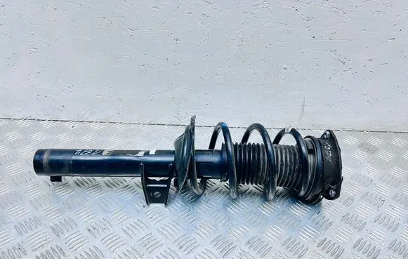 Volkswagen Tiguan Front shock absorber/damper 5QF412021GH 263NWAKHFK0F71