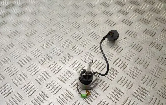 Suzuki Grand Vitara II Xenon bulb W3T16071