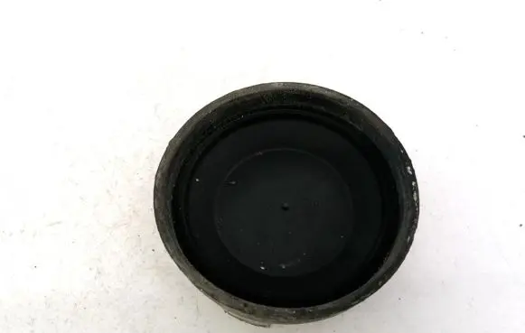 Headlight/headlamp dust cover