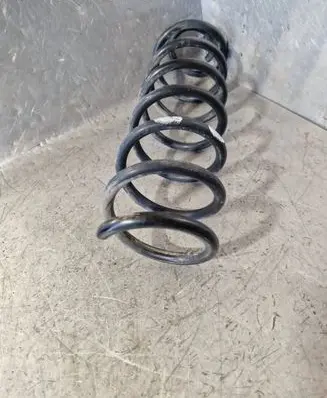 Rear coil spring