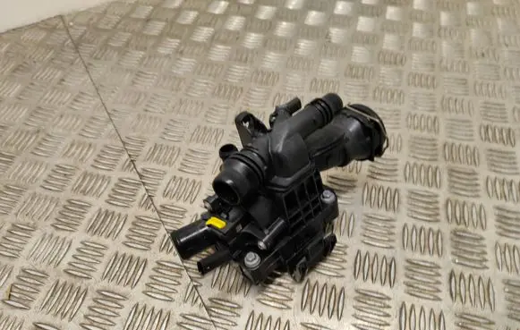 Thermostat/thermostat housing