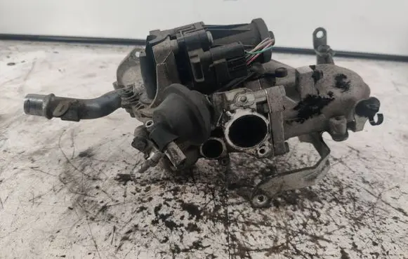 Citroen C4 II EGR valve 50563902 1302013897 702209040