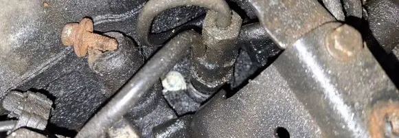 Peugeot 406 Fuel injector 