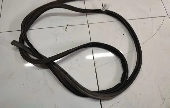 Trunk rubber seal (body)