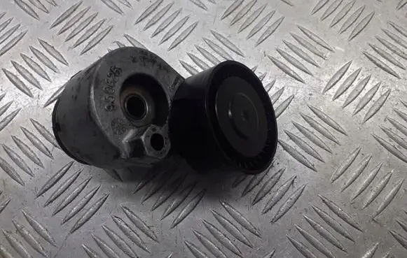 Renault Scenic II - Grand scenic II Alternator belt tensioner pulley 950625